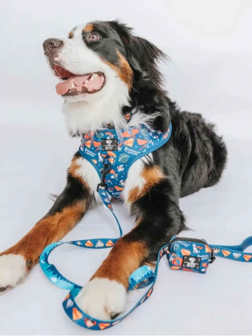 Sassy Woof give your